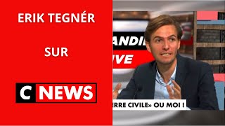 Erik Tegnér  « 60 de l’électorat musulman a voté LFI aux élections européennes  » [upl. by Keram]