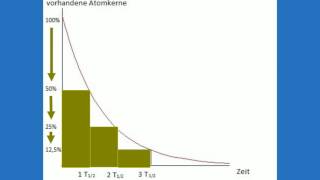 Aktivität und Halbwertszeit [upl. by Tlaw]