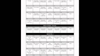 CALENDARIO DE ENTRENAMIENTO INSANITY [upl. by Danelle36]