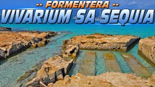 Vivarium Sa Sequia Formenterea Spain [upl. by Nester]