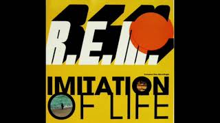 Rem imitation of life [upl. by Heyra]