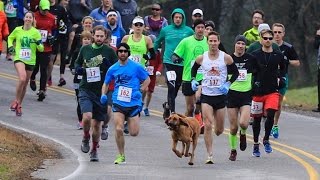 Dog Accidently Joins Half Marathon Finishes Race In 7th Place [upl. by Manvell]