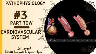 باثو  المحاضرة 3  الجزء الثاني cardiovascular system  PATHOPHYSIOLOGY [upl. by Sorazal]