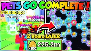 PETS GO COMPLETE in UNDER 3 HOURS Roblox [upl. by Akerahs694]