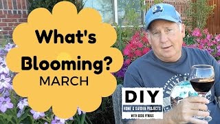 What is BLOOMING  March [upl. by Neih]