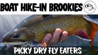 Fly Fishing for BROOK Trout with Ants amp Callibaetis Float Tube Hike Alpine Lake [upl. by Atiuqat598]