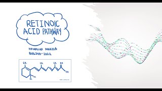 Retinoic acid signaling pathway [upl. by Eide]