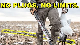 INSANE Arkansas Spring Snow Goose Conservation Hunt HUGE RAINOUTS [upl. by Laram986]