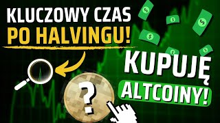 Kryptowaluty  Czas po halvingu kluczowy dla cyklu Kupuję altcoiny Klikamy DoginHood pod AIRDROP [upl. by Phyl]