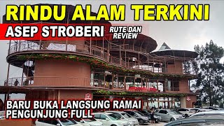 RINDU ALAM TERKINI  RUMAH MAKAN ASEP STROBERI PUNCAK  RUTE DAN REVIEW ASEP STROBERI PUNCAK [upl. by Beckett]