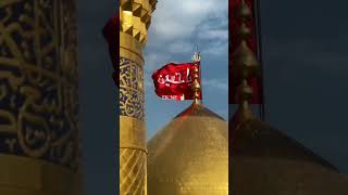 Mera imam Hussain 🙌 nadeemsarwar azadar yaali meraimamhussain [upl. by Akimaj]