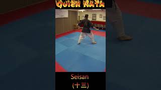 Kata Tutorial Seisan karate karatekata seisan [upl. by Yrrek]