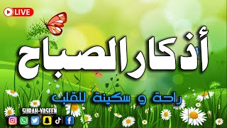 Azkar alSabah wa alMasaa  Morning and Evening Prayers  اذکار الصباح و المساء [upl. by Cirillo394]