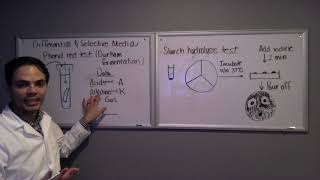 Phenol Red Test amp Starch Hydrolysis Test [upl. by Enerol639]