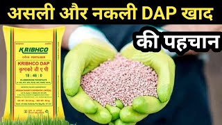 असली DAP खाद की पहचान कैसे करे  DAP Fertilizer  Nakali DAP Ki Phachan [upl. by Akerdnuhs132]