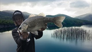 Biggest Topwater Hinze Dam Bass EVER [upl. by Hepsiba]