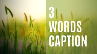 3 Words Caption  instagram captions for girls  Instagram captions ideas captions instacaptions [upl. by Finella]