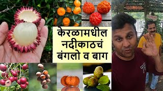 केरळामधील नदीकाठचं Farm House अशी बाग तुम्हाला बनवायला आवडेल का Exotic Fruits nursery Kerala [upl. by Cyler934]