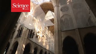 A look inside the restoration of Notre Dame cathedral [upl. by Lincoln]