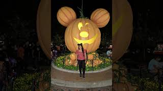 Halloween 🎃 Disney photopass [upl. by Cleveland40]