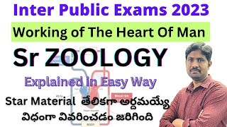 Working of The Heart of Man Explained in Easy Way  Inter Second Year Zoology Important Question [upl. by Notyard]