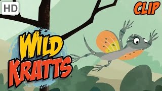 Wild Kratts  Gliding Like A Pro [upl. by Aniger]