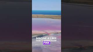 The Mystery of Lake Hilliers FLOATING Islands lake shorts nature shortvideo facts [upl. by Naujtna]