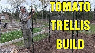 Tomato trellis build [upl. by Strohben]