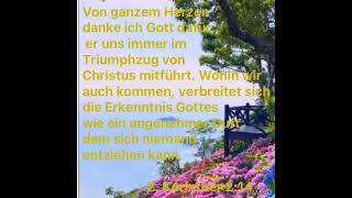 Schlecht gelaunte Christen verstehen Gott NICHT [upl. by Letnom694]