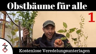 Veredelungsunterlagen  Obstbäume für alle Teil 1 [upl. by Filomena]