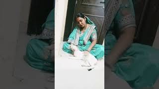 chandaniyalori lorivideo ytshortsvideo salitarajbhar [upl. by Airad]