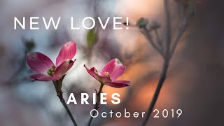 ARIES New Love October 2019 [upl. by Zoarah]