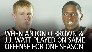 When Antonio Brown And JJ Watt Played On The Same Offense For One Season [upl. by Nanek]