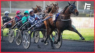 Horsy Dream  Prix dAmérique Races Zeturf Q6  Prix de Belgique Gr2  Vincennes  15012023 [upl. by Hallutama427]