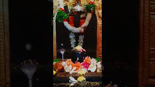 కార్తీక పౌర్ణమి రోజున కార్తీక దీపోత్సవం Annabhishekam Bhavani Shankara Swami youtubeshorts yt [upl. by Milinda]