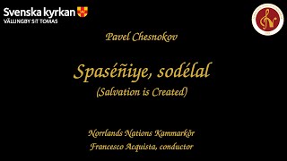 Pavel Chesnokov  Spaséñiye sodélal Salvation is Created [upl. by Ymrots]