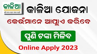 Kalia Yojana Big update  Kalia Yojana Online Apply  Odisha Scheme 202324 [upl. by Tessie604]