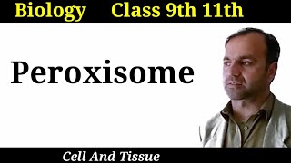 Peroxisome  Structure and functions of Peroxisome  Cell organelles  Class 9 and 11 [upl. by Igig]