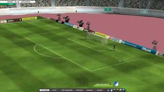 DFBPokalFinale 2 Bremen  Hoffenheim3DSpielFM11LP [upl. by Petty788]