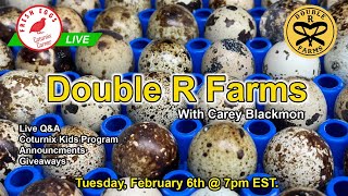 Coturnix Corner LIVE  Farm Introductions [upl. by Ahsaret731]