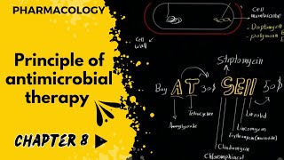 فارما  جابتر 8  شرح مهم متطور لفهم المضادات الحيوية  principle of antimicrobial therapy [upl. by Arehc]