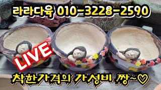 💥LIVE 라라다육 01032282590카드결제가능 가성비 짱 어서오세요 [upl. by Sergent335]