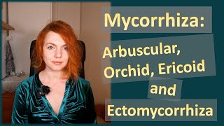 Mycorrhiza Arbuscular Orchid Ericoid and Ectomycorrhiza Characteristics and Features [upl. by Yniffit]