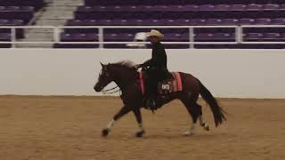 2024 Ranch Horse World Show Amateur Reining Jorge Puente on Shez Reyzn Brows [upl. by Nally711]