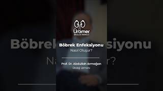 Böbrek Enfeksiyonu Nasıl Oluşur  Prof Dr Abdullah Armağan [upl. by Nnaeel]