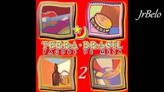 Terra Brasil 2 Cd Completo  JrBelo [upl. by Geldens549]