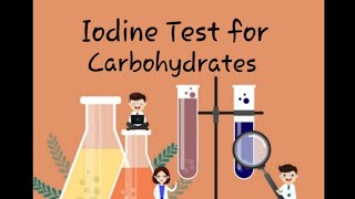 Iodine Test for Carbohydrates Biochemistry practicals for 1st Year MBBS [upl. by Selij]