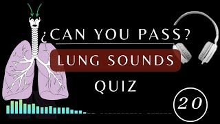 Name That Lung Sound Quiz  Normal and Abnormal lung sounds types respiratory [upl. by Fine241]