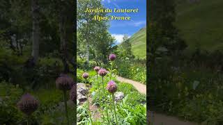 Jardin du Lautaret Explore the Alpine Garden of Wonders travel virtualwalktour virtualwalk [upl. by Eyram]