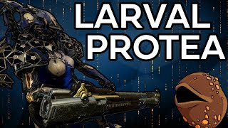 LARVAL PROTEA  Helminth System Builds [upl. by Lovell219]